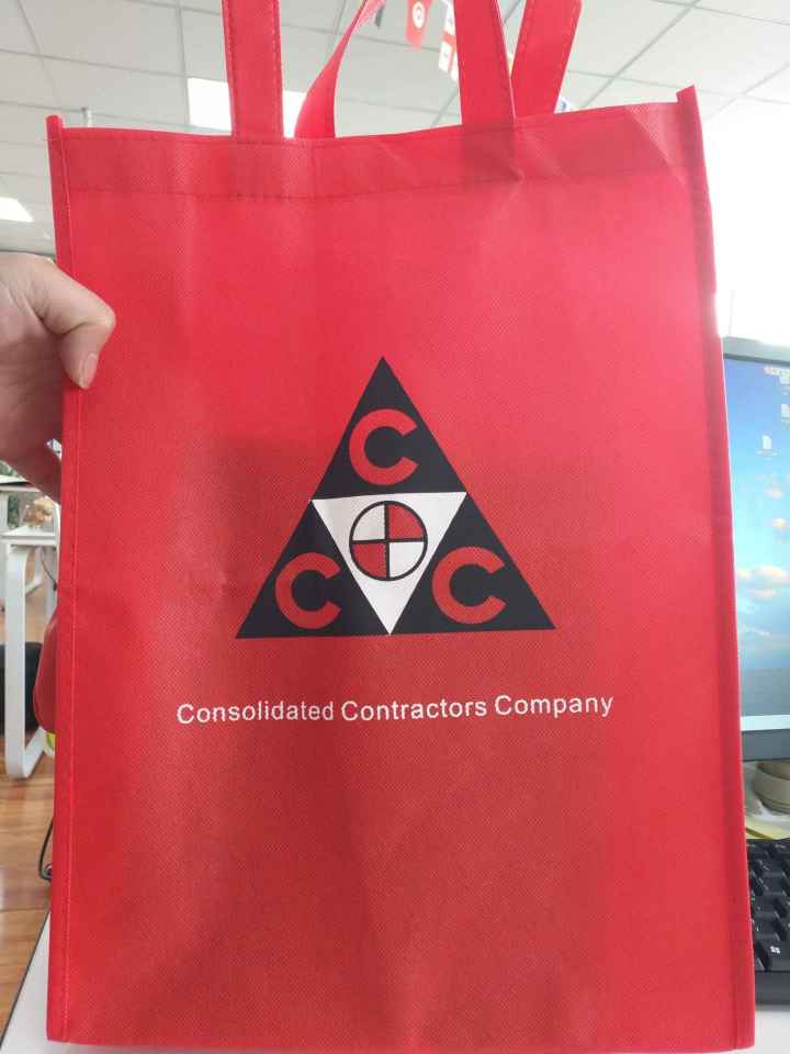 Non woven bag