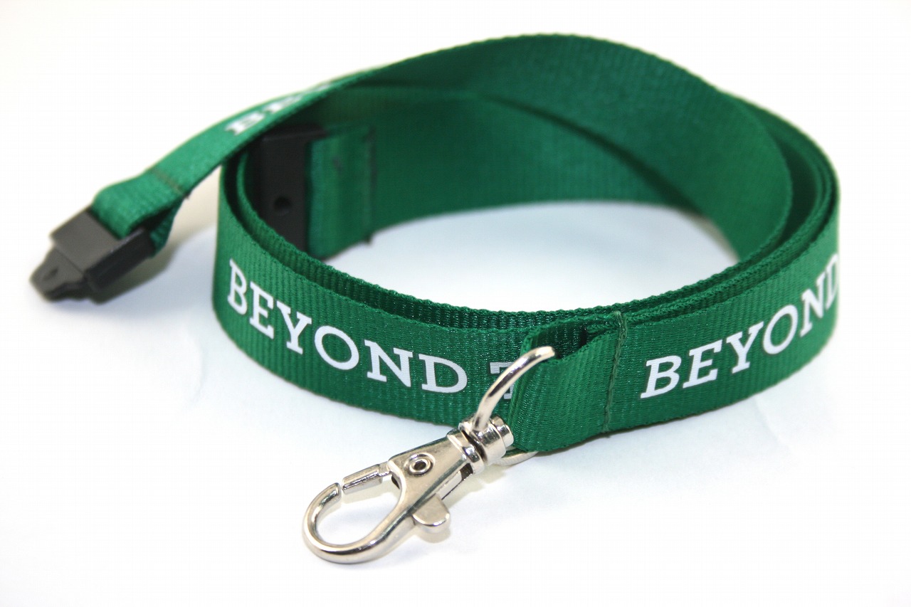 Lanyard